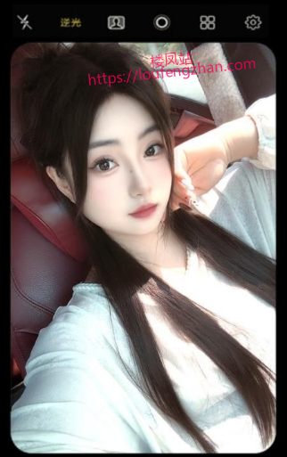 四季青叶子回归